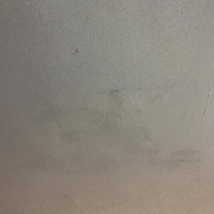 Foto de perfil de Jen