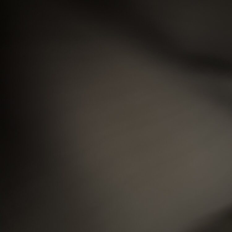 Foto de perfil de Hornlol