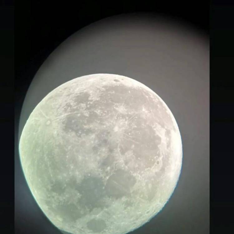 Foto de perfil de Rodrigo alba