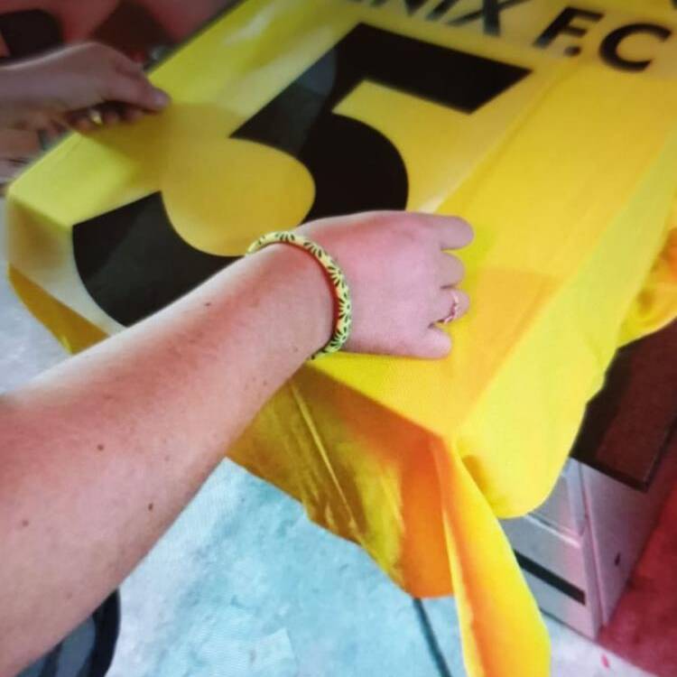 Foto de perfil de Fenix FC