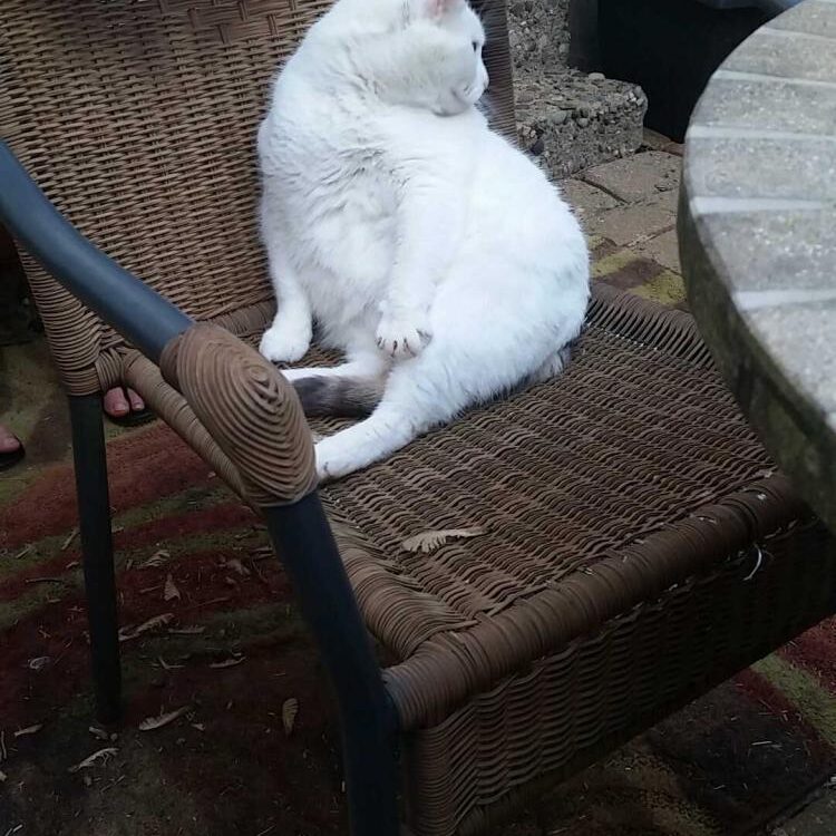 Foto de perfil de Samuelg