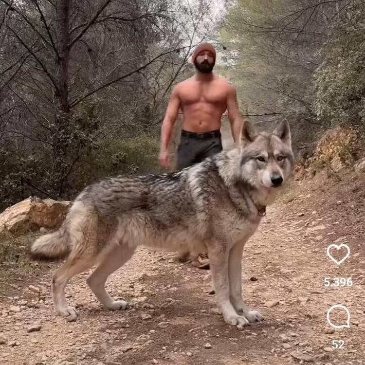 Foto de perfil de Moris