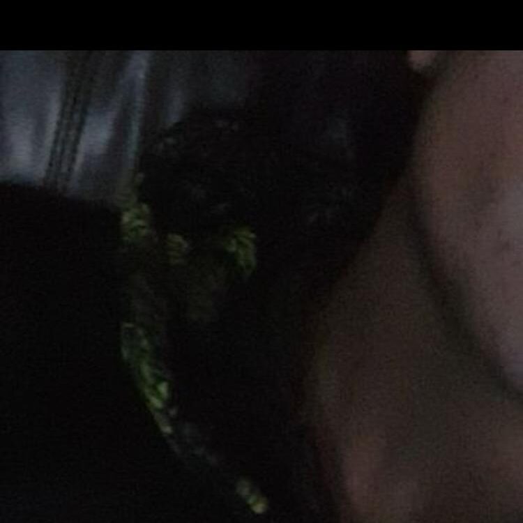 Foto de perfil de Jacob