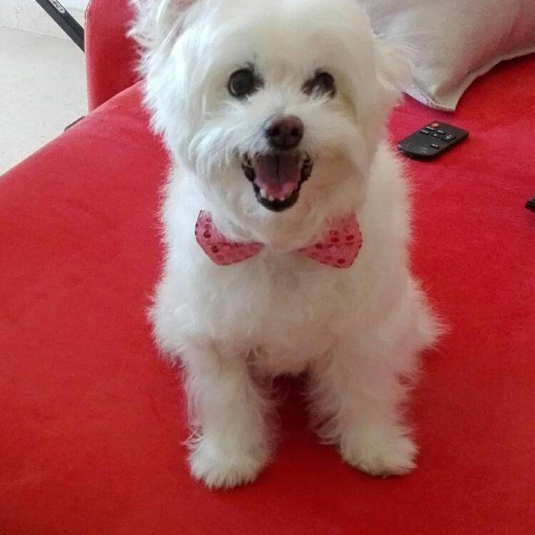 Foto de perfil de Xisca