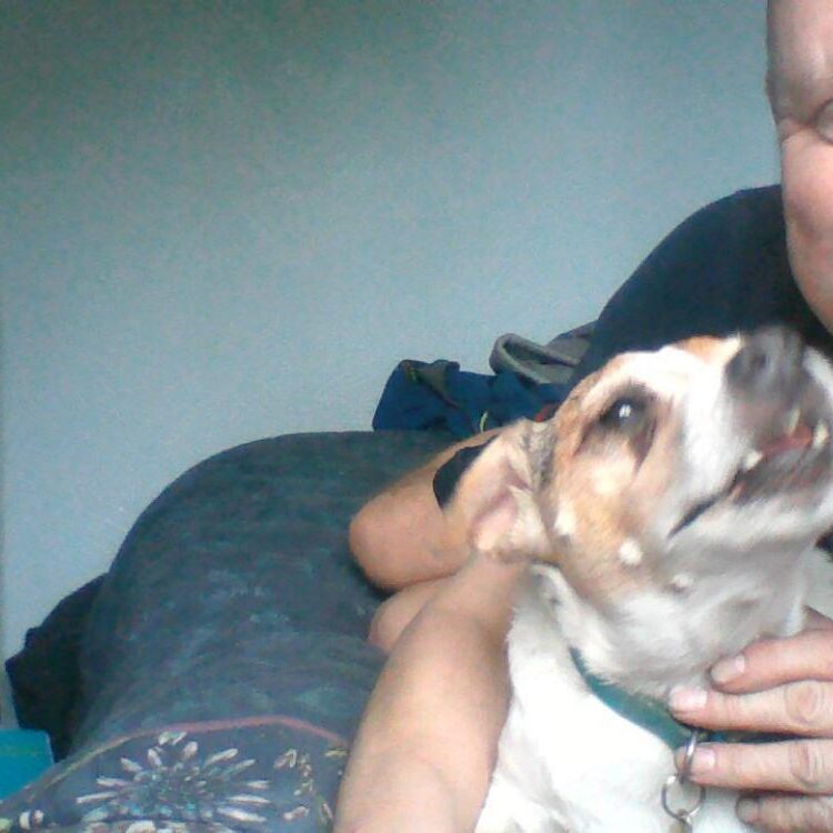Foto de perfil de nigelhenne1972buck@gmail.com