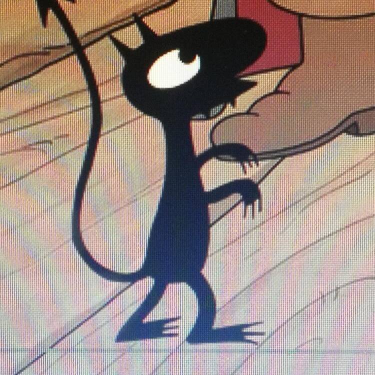Foto de perfil de jaime