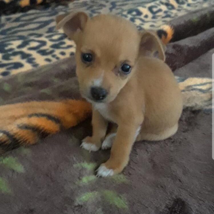 Foto de perfil de gus_8647