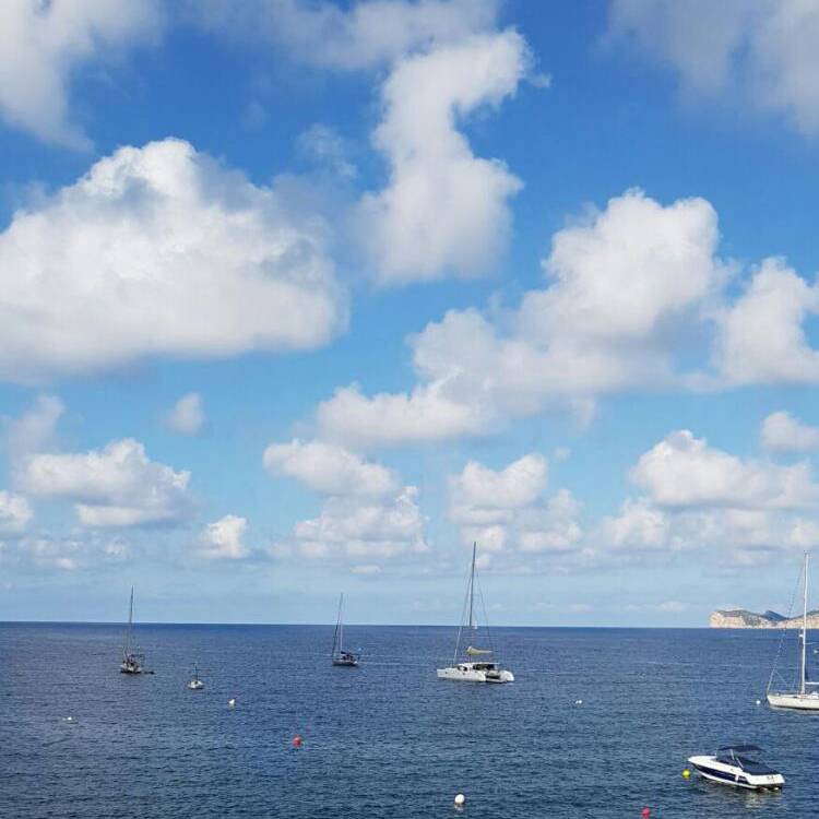 Foto de perfil de Jaume