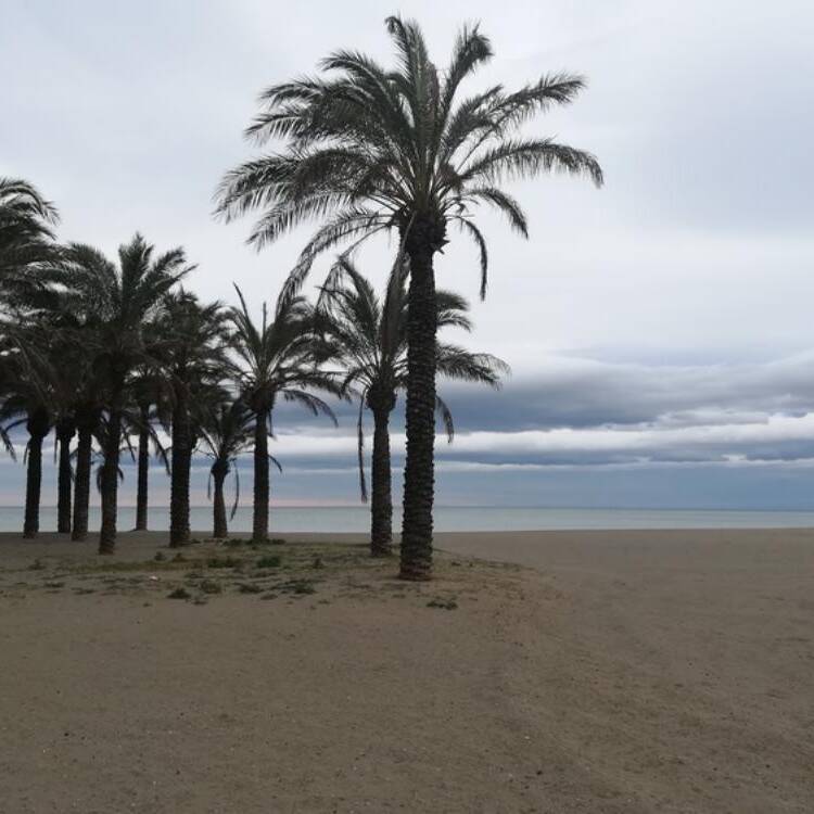Foto de perfil de Alx40