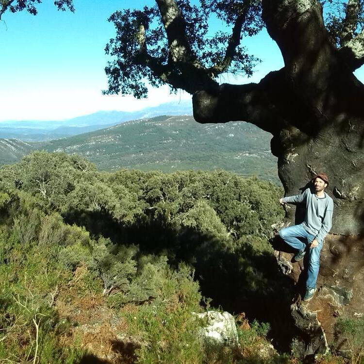 Foto de perfil de trebole