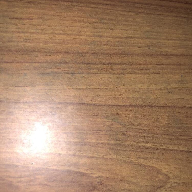 Foto de perfil de Katelynn_sutton