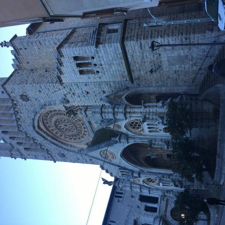 Foto de perfil de Yulius
