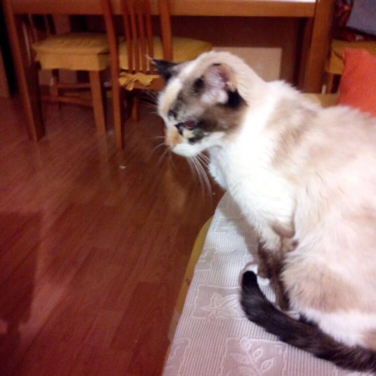 Foto de perfil de Sonia