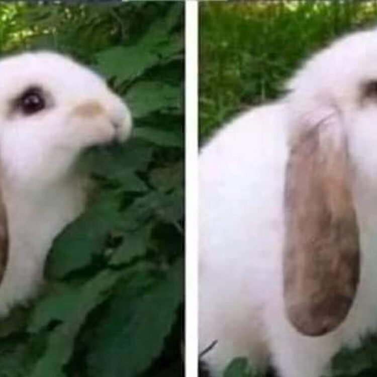 Foto de perfil de BbmAk