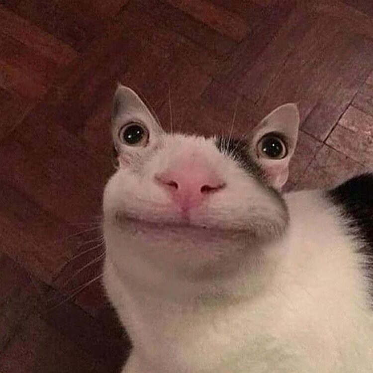 Foto de perfil de ebolaidsv1