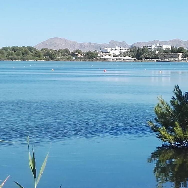 Foto de perfil de Palma53
