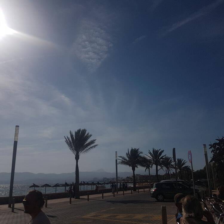 Foto de perfil de xisca