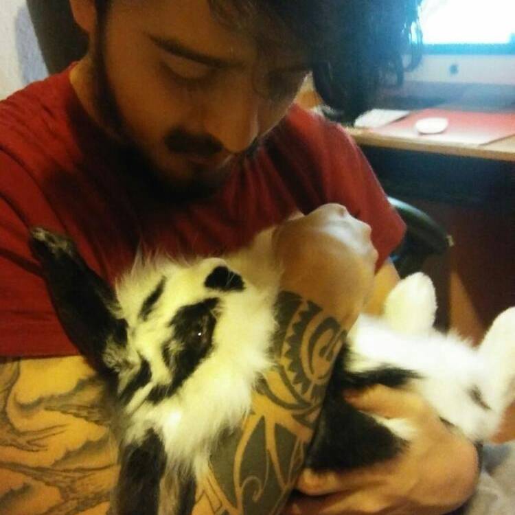 Foto de perfil de Andres