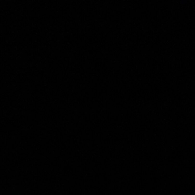 Foto de perfil de Regan