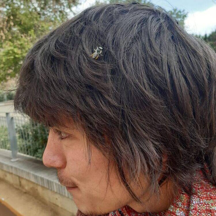 Foto de perfil de Albert