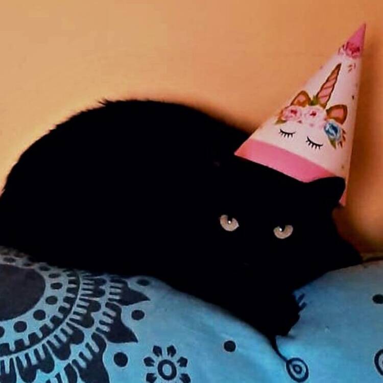 Foto de perfil de Maru