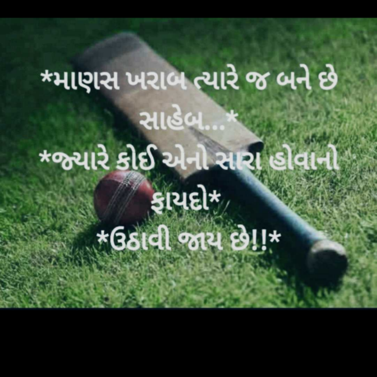 Foto de perfil de mitesh