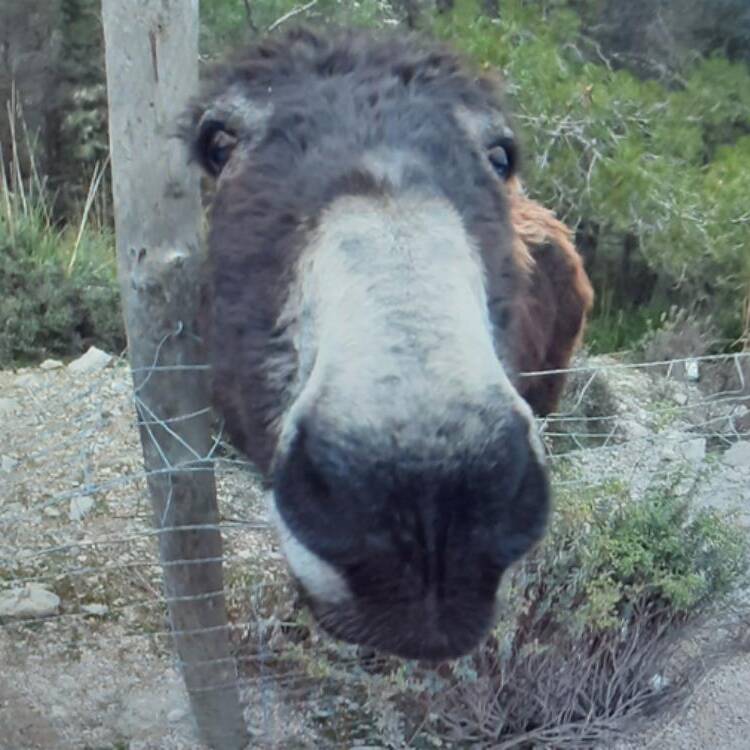 Foto de perfil de Maria