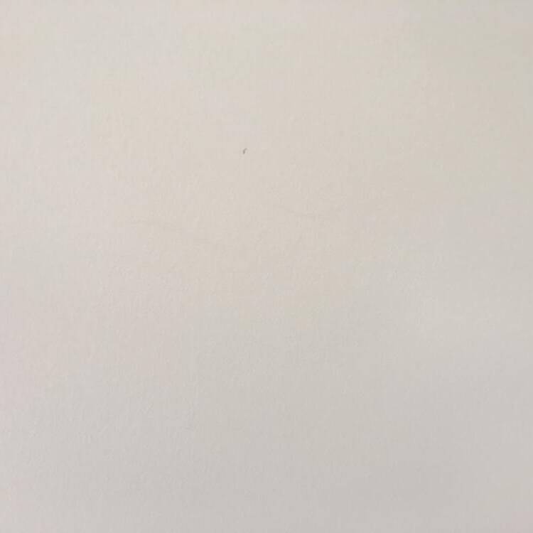 Foto de perfil de Maria