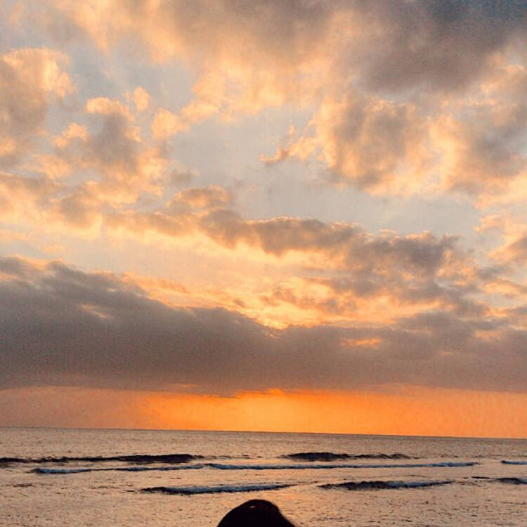 Foto de perfil de Mar