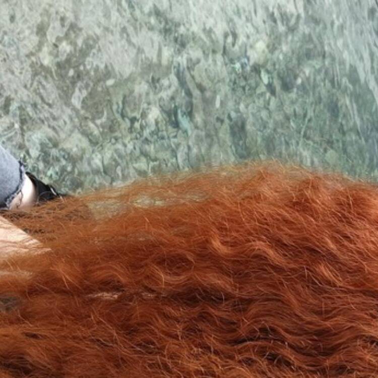 Foto de perfil de Nour