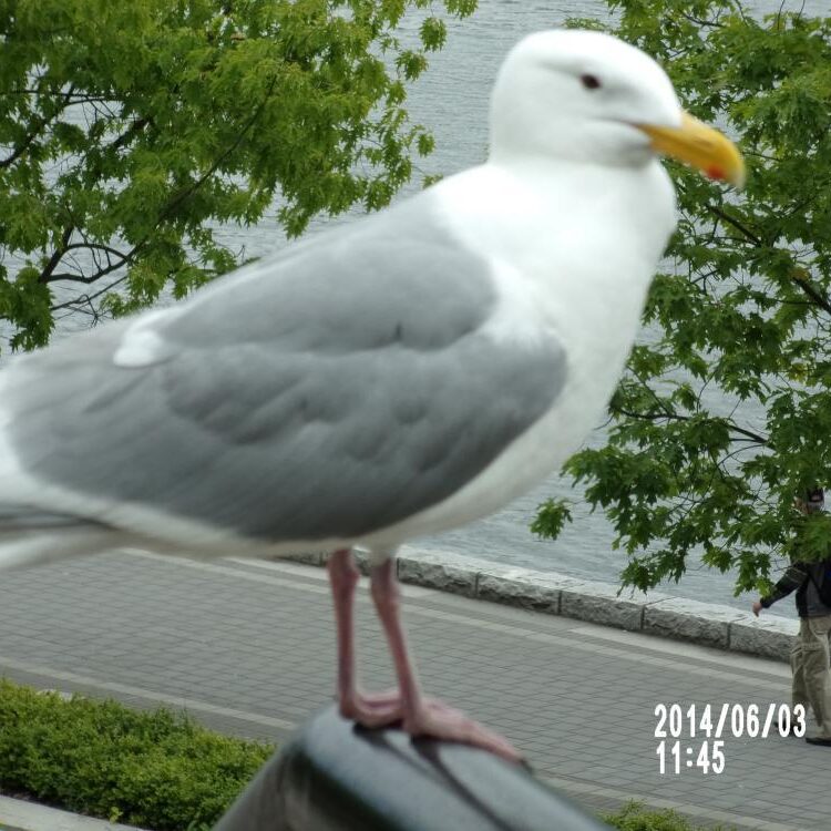 Foto de perfil de Zwarl0ck