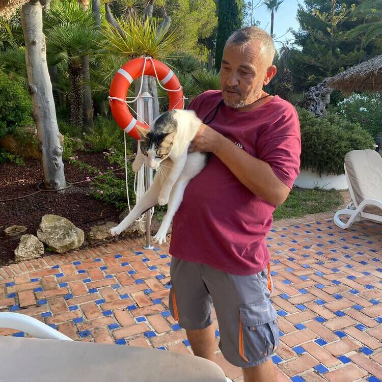 Foto de perfil de Miguel Ángel