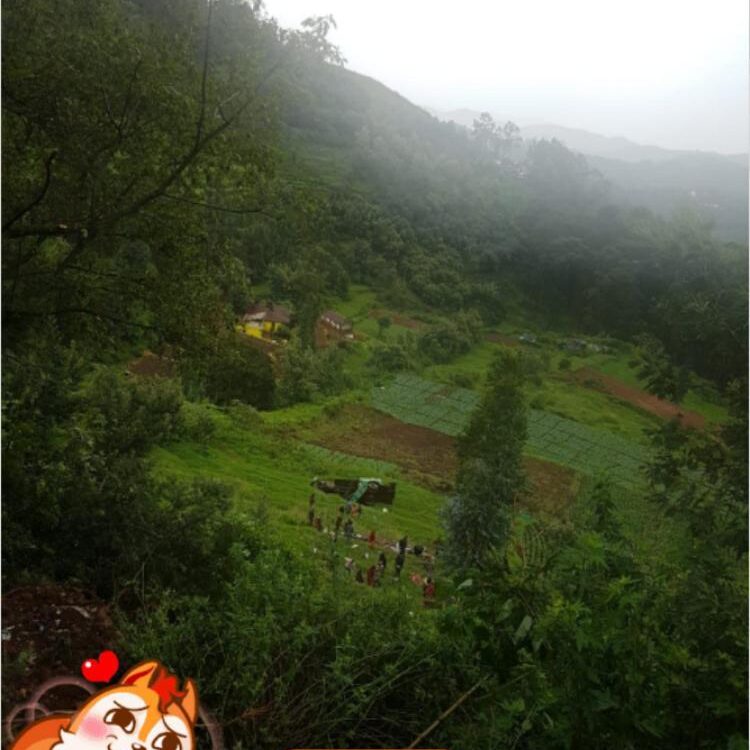 Foto de perfil de Markv33333