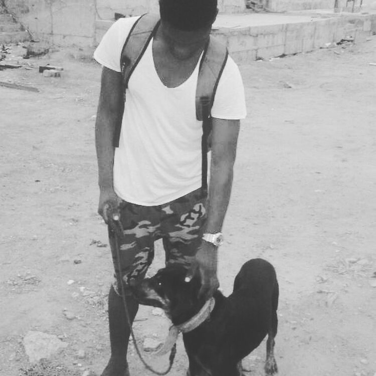 Foto de perfil de Daud