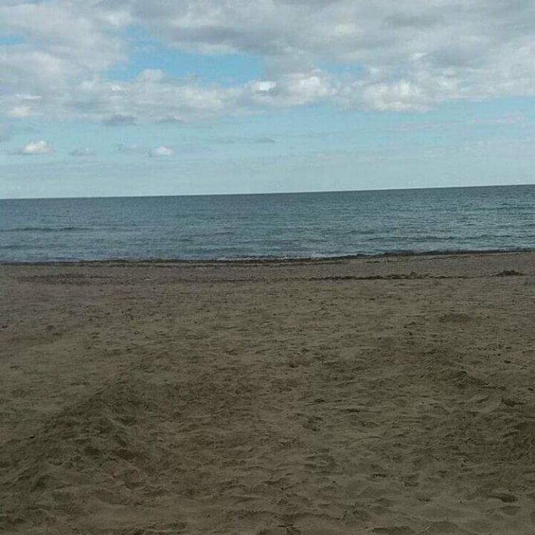 Foto de perfil de Ana