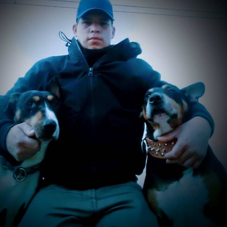 Foto de perfil de Andrés felipe