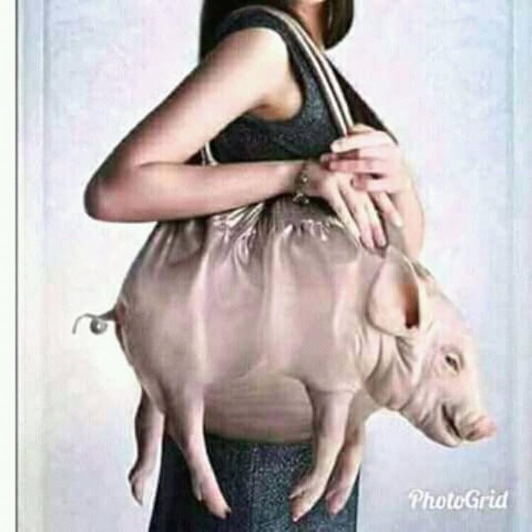Foto de perfil de Mulla Davis