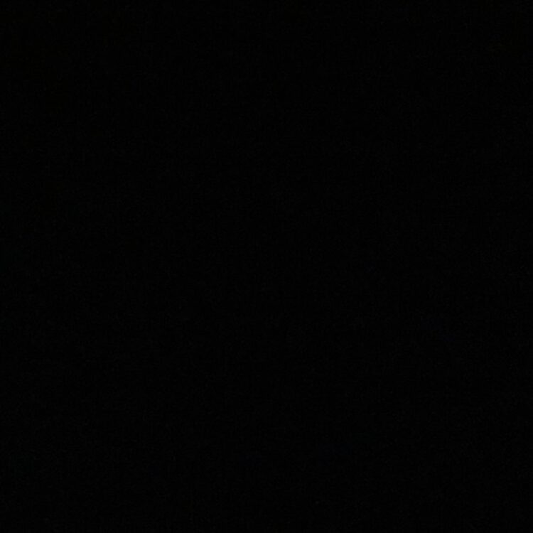 Foto de perfil de Ray