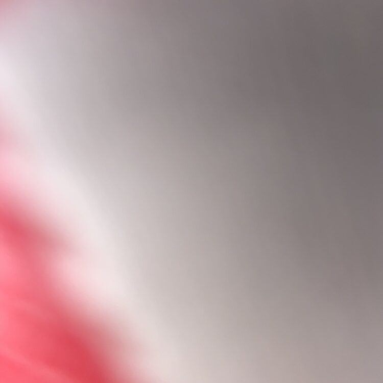 Foto de perfil de Johnny