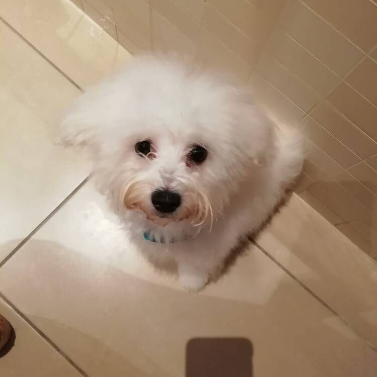 Foto de perfil de Joana