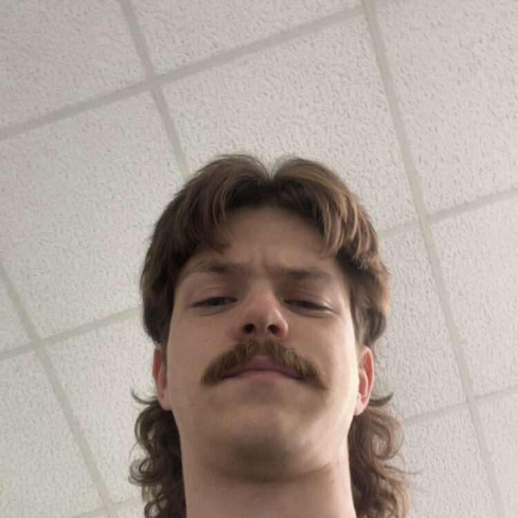 Foto de perfil de Basti