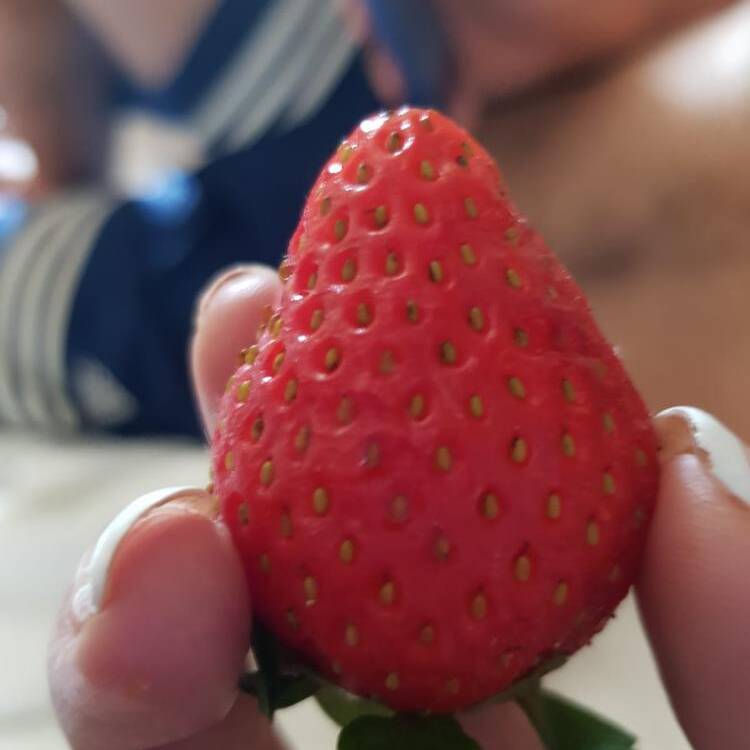 Foto de perfil de Wapyy