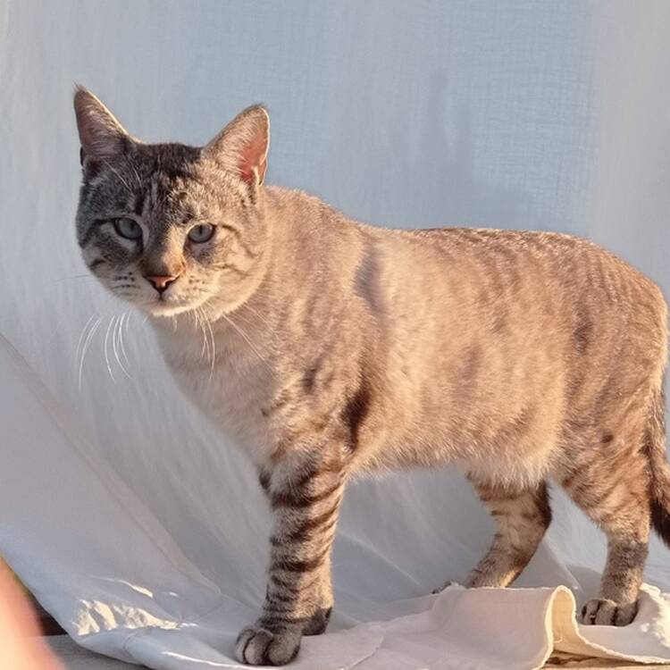 Foto de perfil de BEA