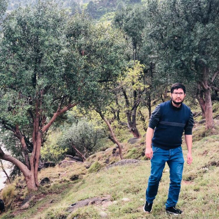 Foto de perfil de Hamza