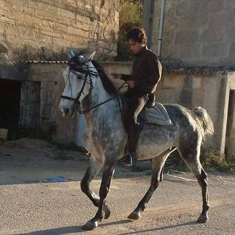 Foto de perfil de Toni SOLER MIR