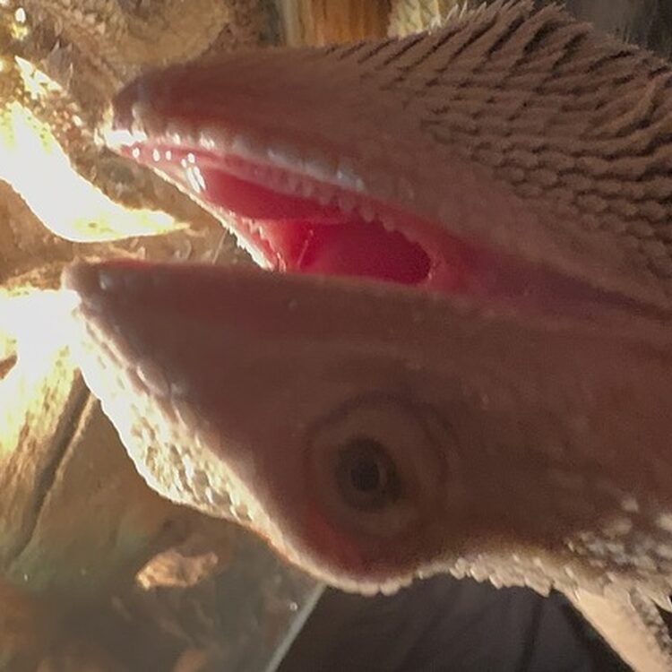 Foto de perfil de Jack