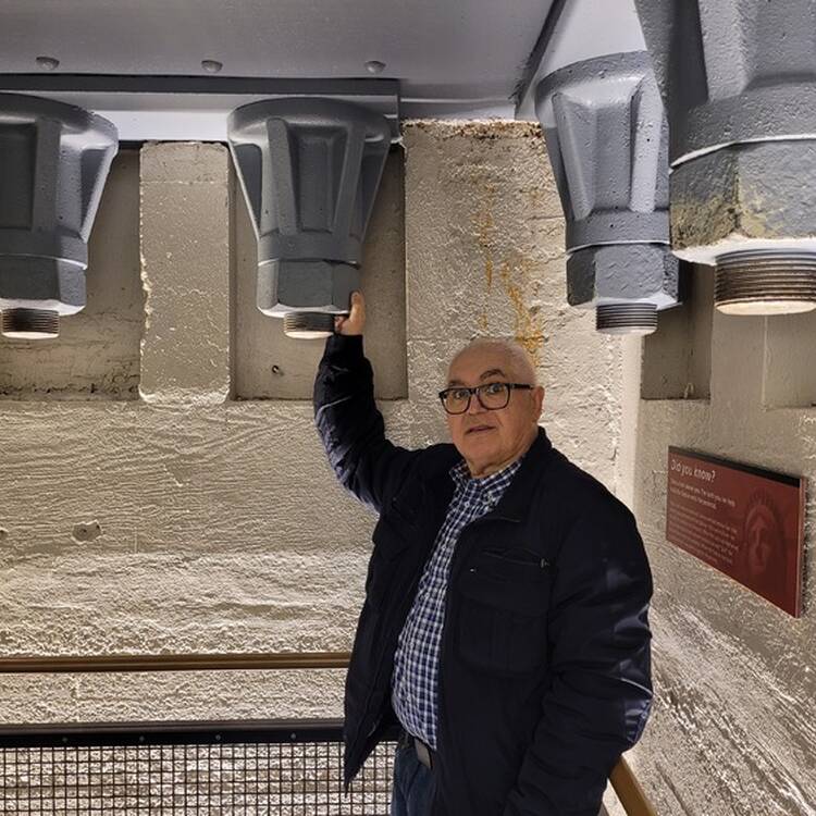 Foto de perfil de Miquel