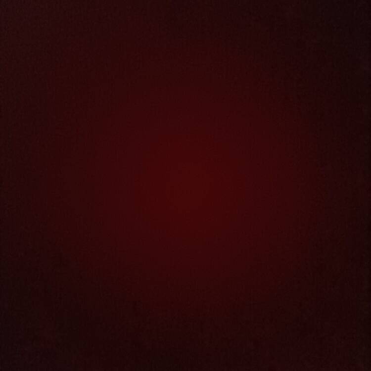 Foto de perfil de Andrés