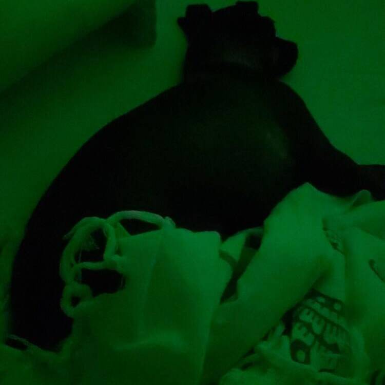Foto de perfil de Danny83