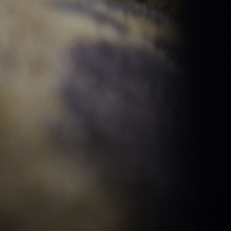 Foto de perfil de Serenity